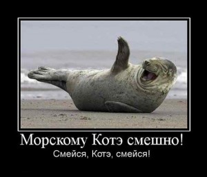 Регистрация в каталогах